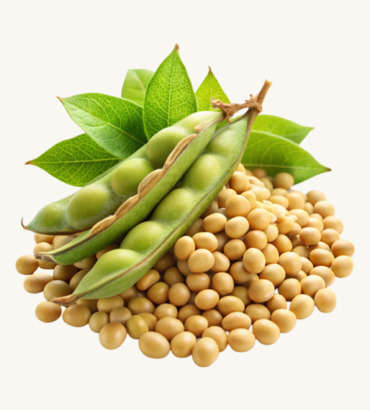 Soybeans